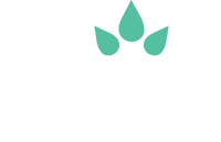 Welcome [tule.ag]